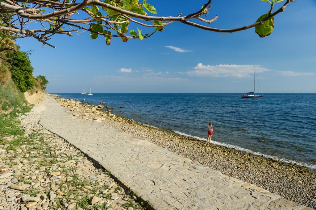 Sea View Guesthouse Opara Piran Exteriör bild