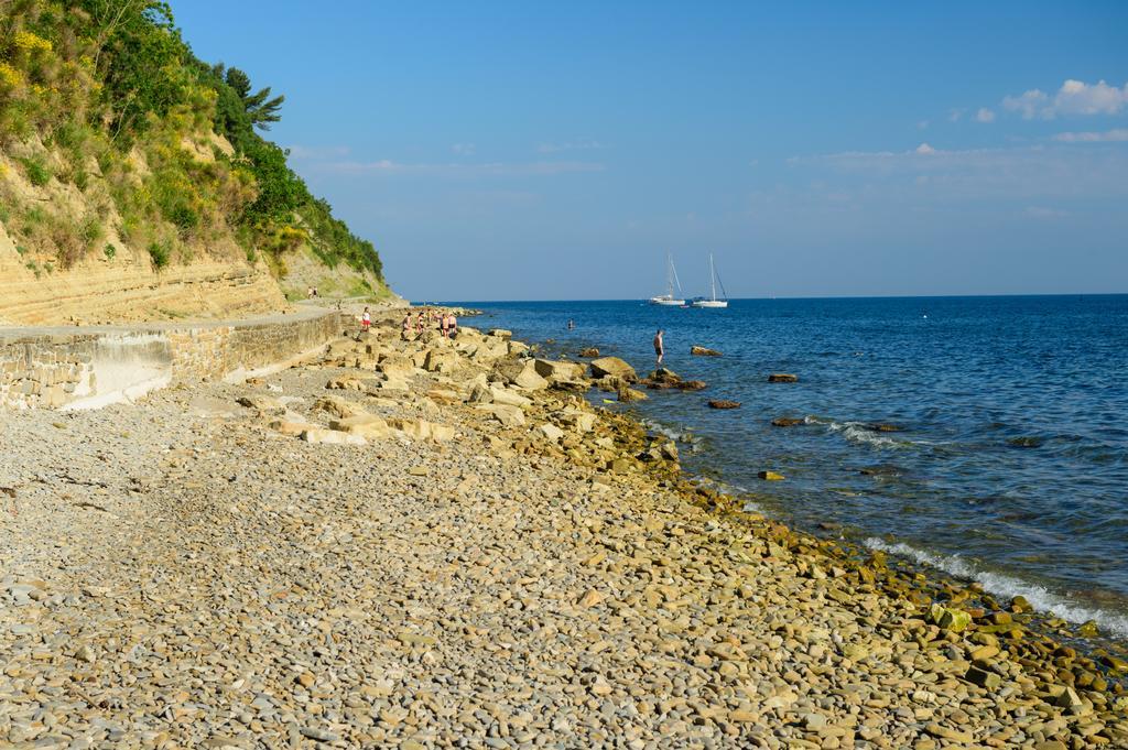 Sea View Guesthouse Opara Piran Exteriör bild